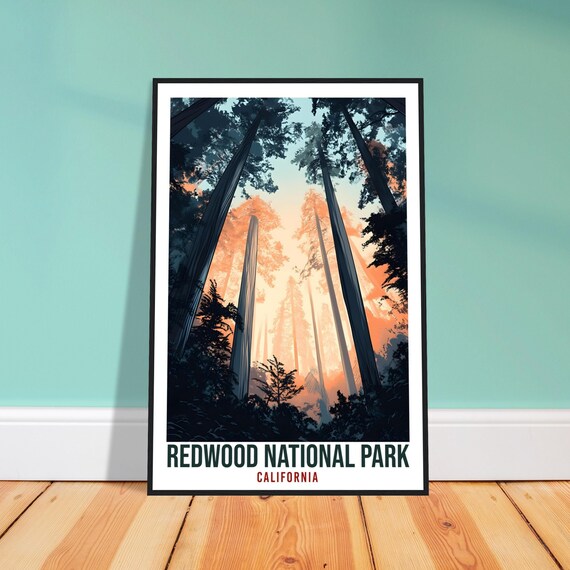 Redwood National Park California Towering Redwood Forest Sunset Poster