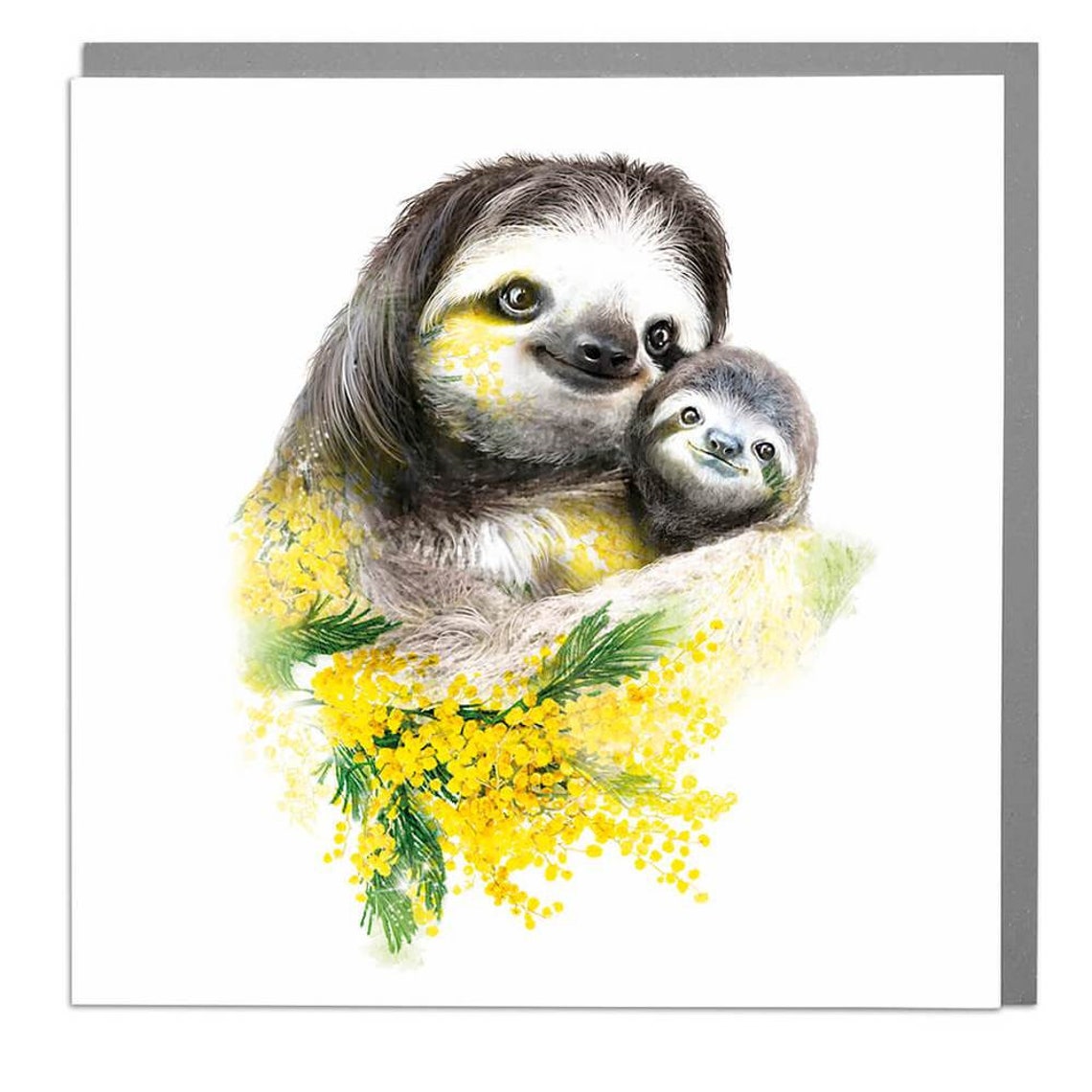 Sloths - Animal Card