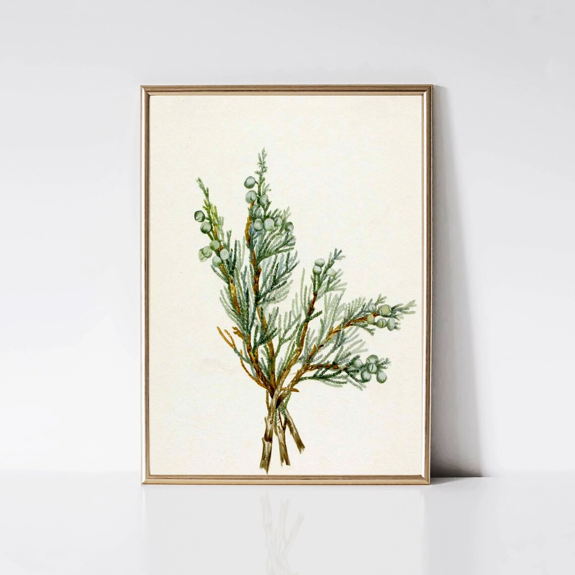 Juniper Branch Vintage Christmas Tree Art Print