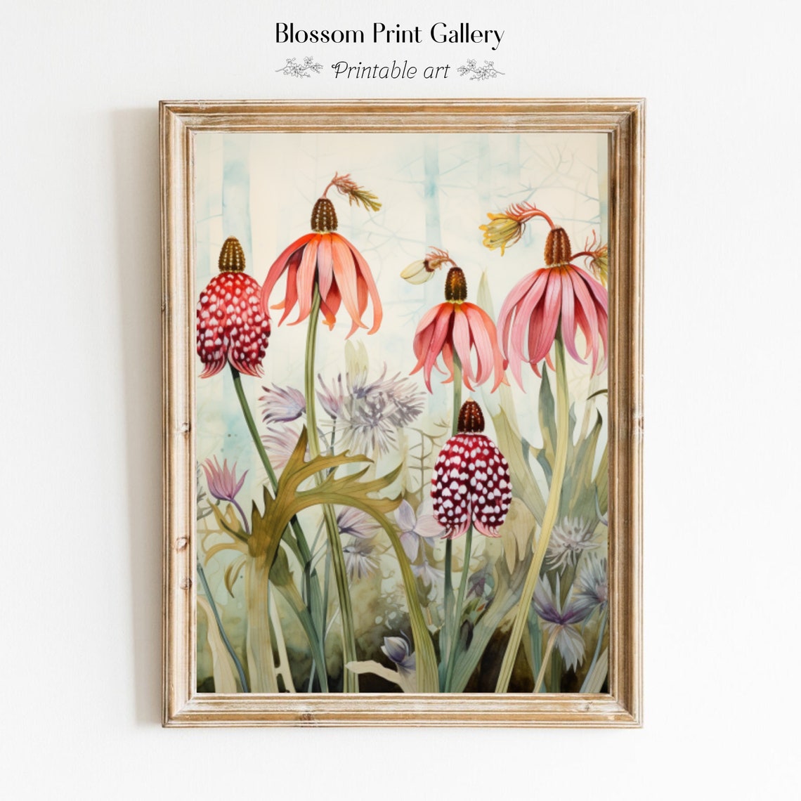Pink Coneflowers Botanical Garden Watercolor Floral Art Poster