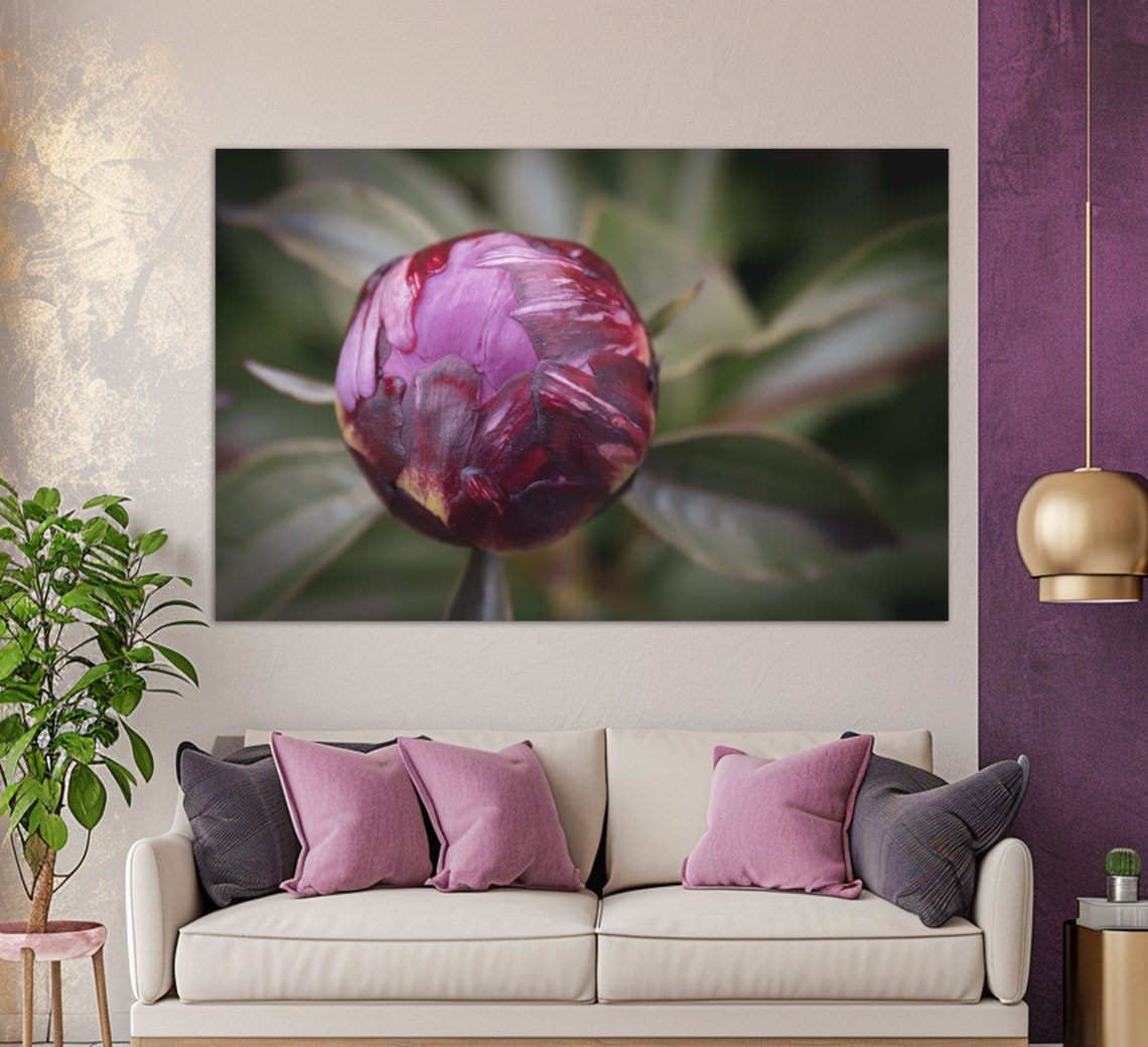 Purple Peony Flower Bud Macro Photography Bloom Floral Art Print