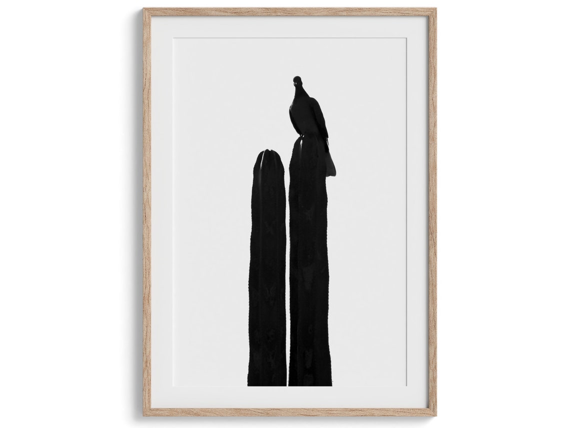 Bird Silhouette On Cactus Black And White Minimalist Desert Print