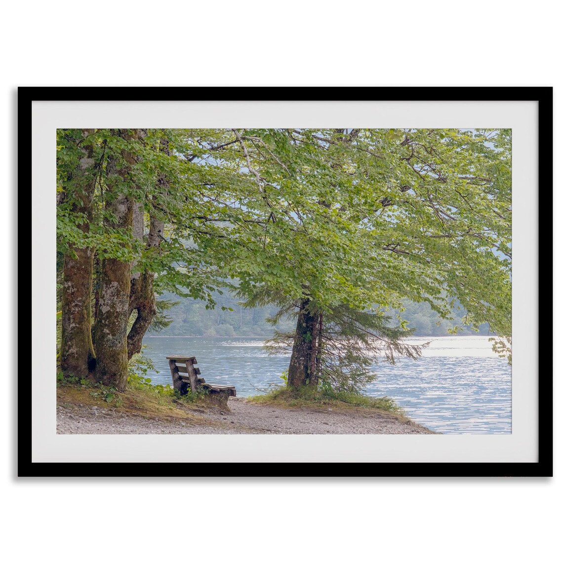 Serene Beach Lake Tree Fine Art Photography Print - Image 4