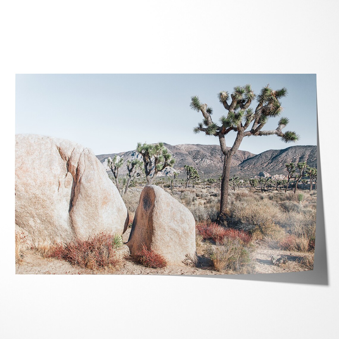 Joshua Tree Retro Travel Poster, California Desert - Image 2