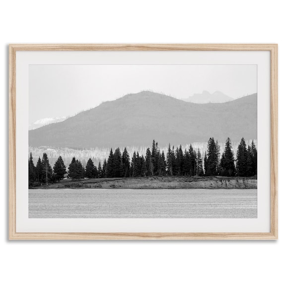 Lake Trees Black And White Forest Wall Art Print