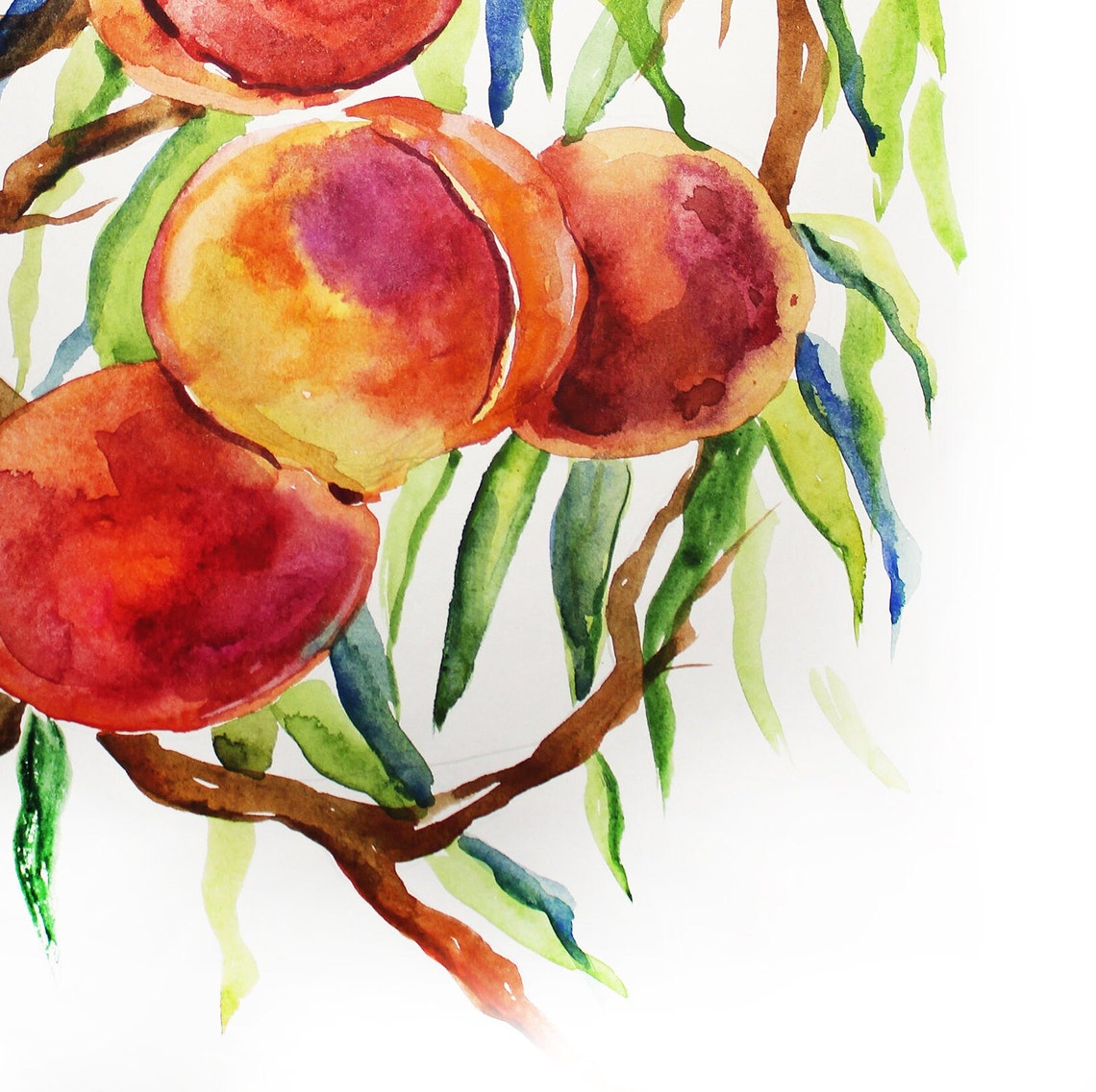Juicy Ripe Peaches on Leafy Branch Watercolor Fruit Art Poster - Image 3