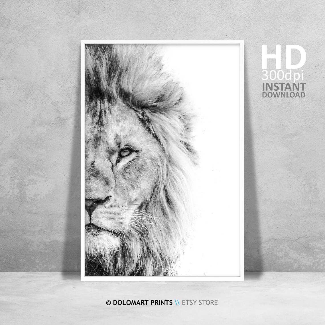 Lion Wilderness Photography Art Print, Animal Portrait