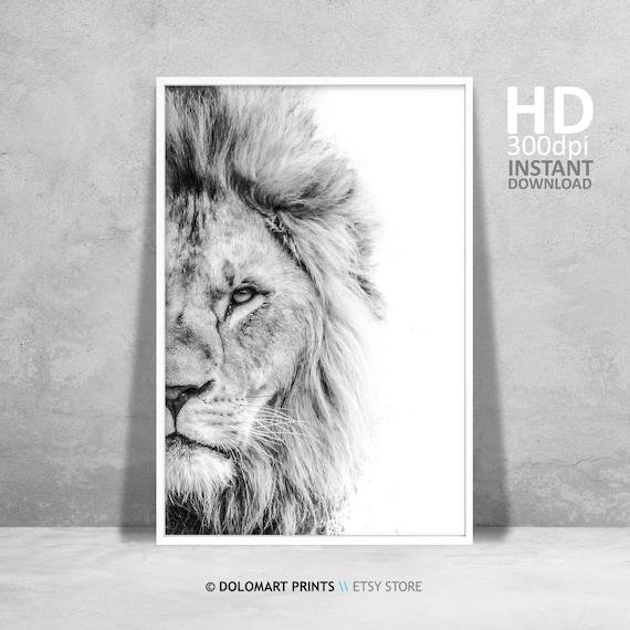 Lion Wilderness Photography Art Print, Animal Portrait