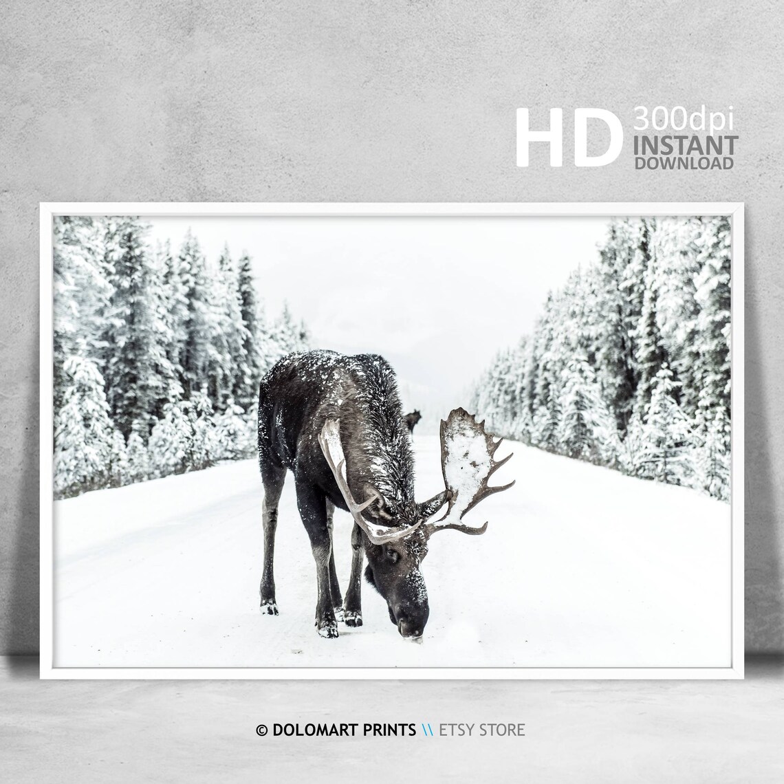 Moose in Snow Rustic Christmas Holiday Poster