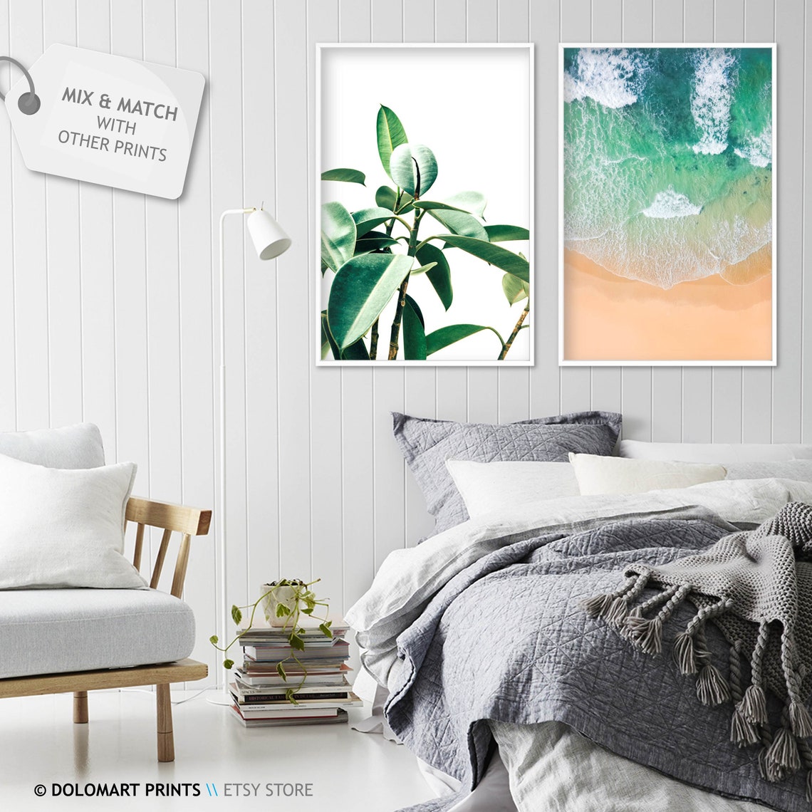Rubber Plant Green Leaves On White Background Botanical Photo Poster - Image 2