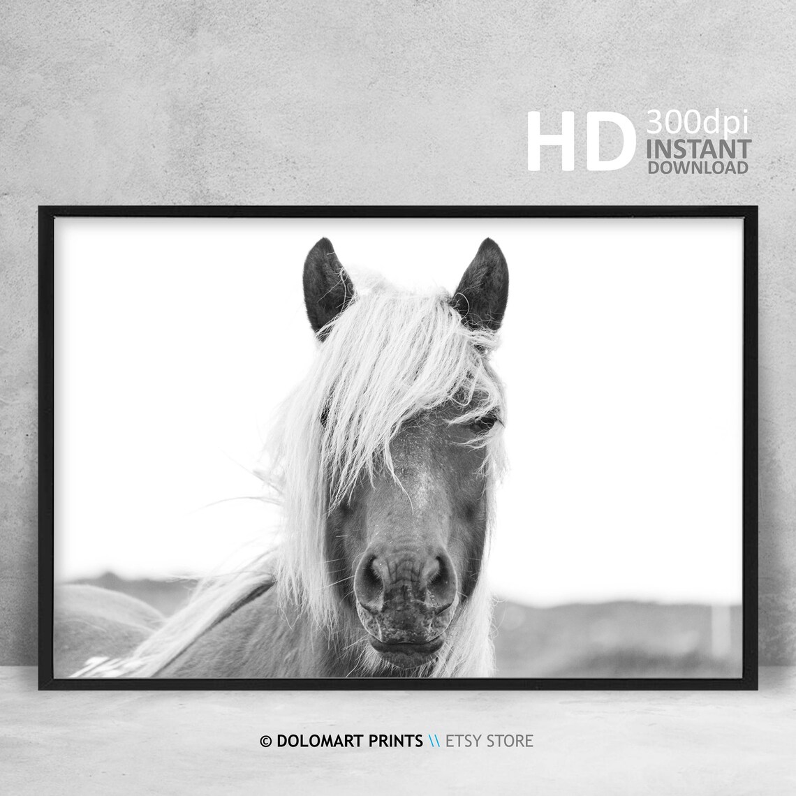 Horse Animal Photography Wall Art, Wilderness Photo - Image 4
