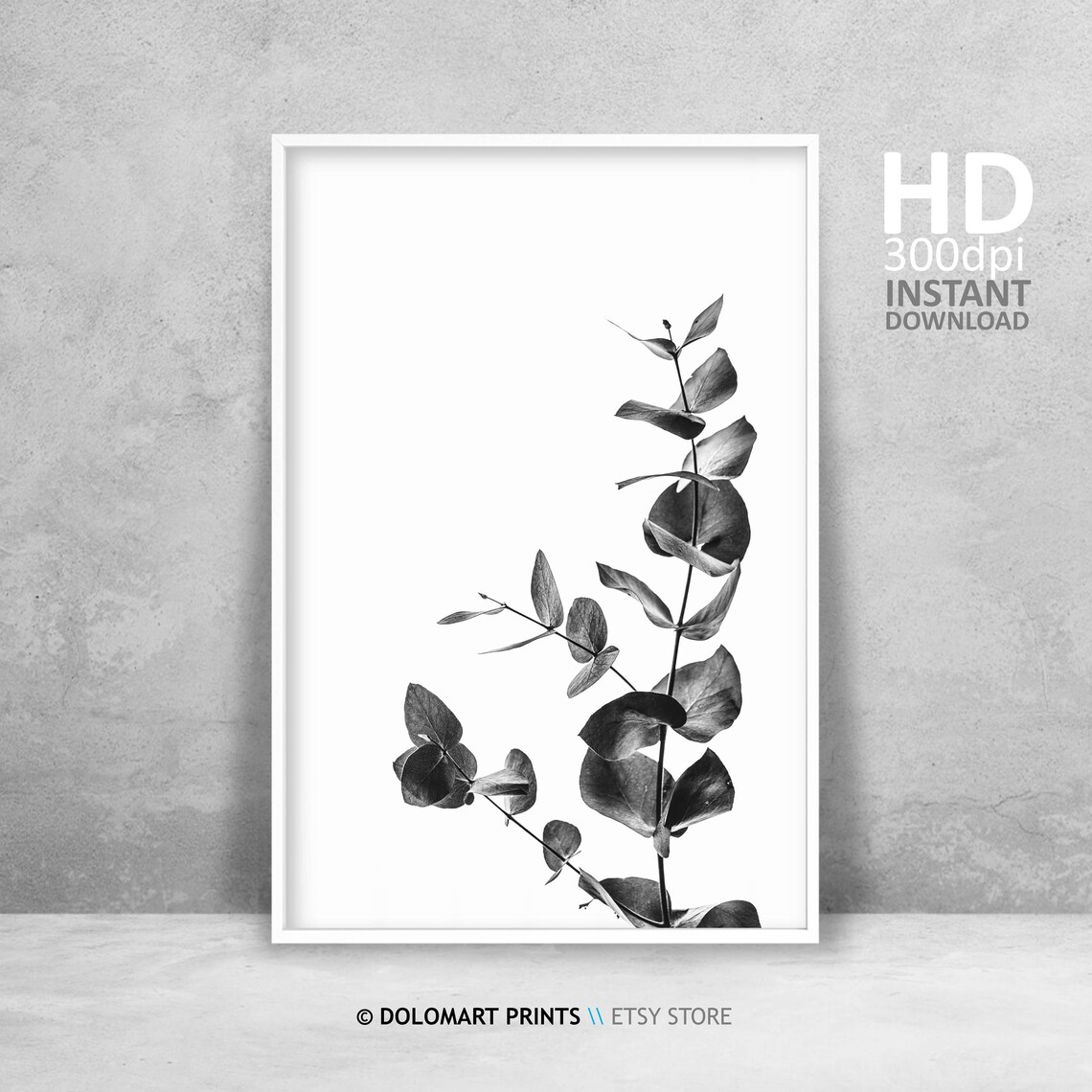 Australian Eucalyptus Leaf Print, Botanical Wall Art