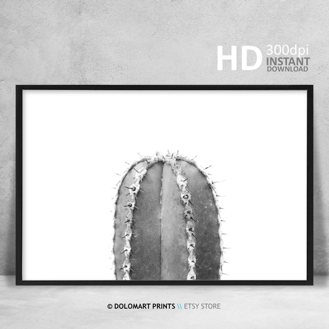 Black And White Cactus Photography Minimal Desert Botanical Poster - Image 4