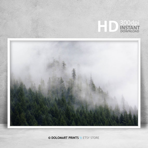 Minimalist Forest Print Woodlands Wall Art Nature Photography Print Wall Decor Instant Mountain Forest Wall Art