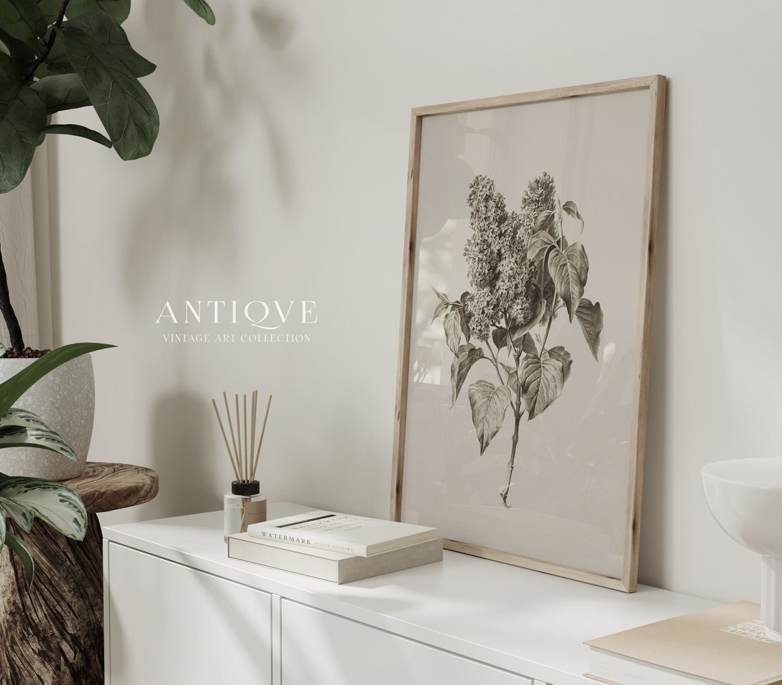 Vintage Floral Sketch Botanical Artwork - Image 4
