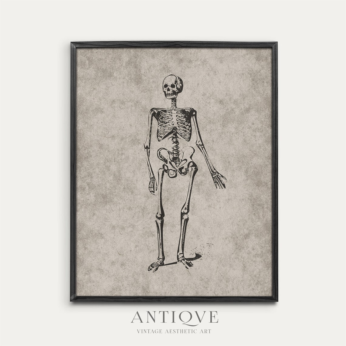 Antique Human Skeleton Anatomy Engraving Vintage Science Print