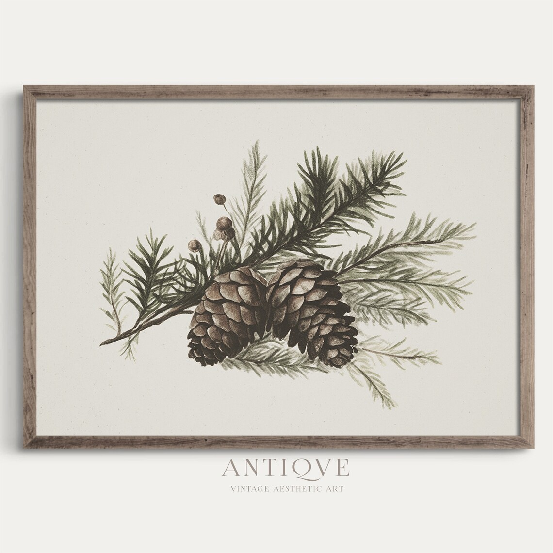 Winter Pinecones Christmas Botanical Rustic Art Print - Image 2