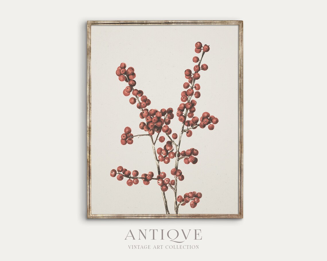 Winterberry Branch Sketch Print, Rustic Christmas Art