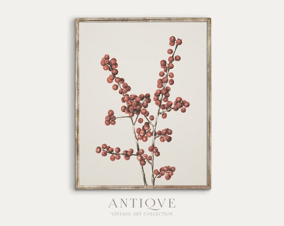 Winterberry Branch Sketch Print, Rustic Christmas Art