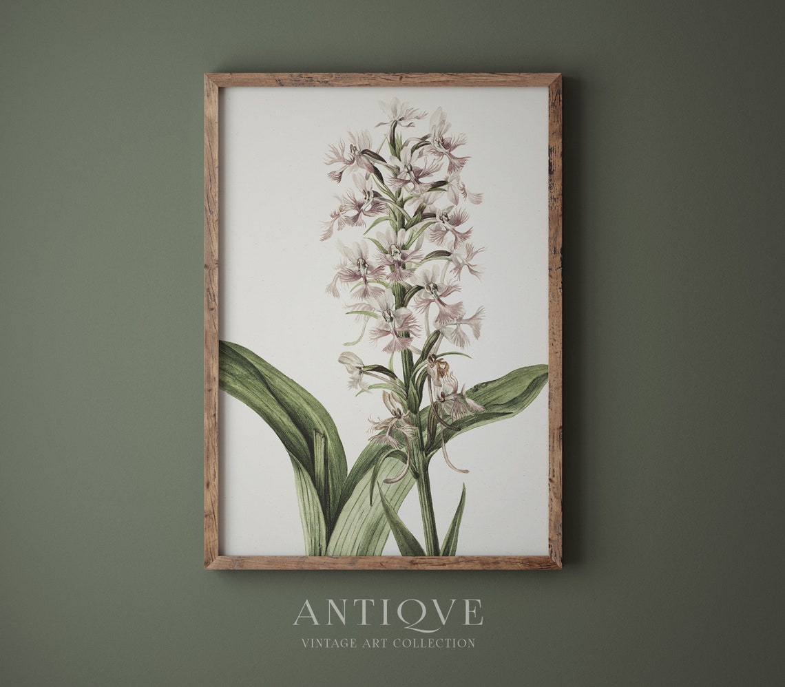 Pink Flowers Botanical Art Print - Image 4