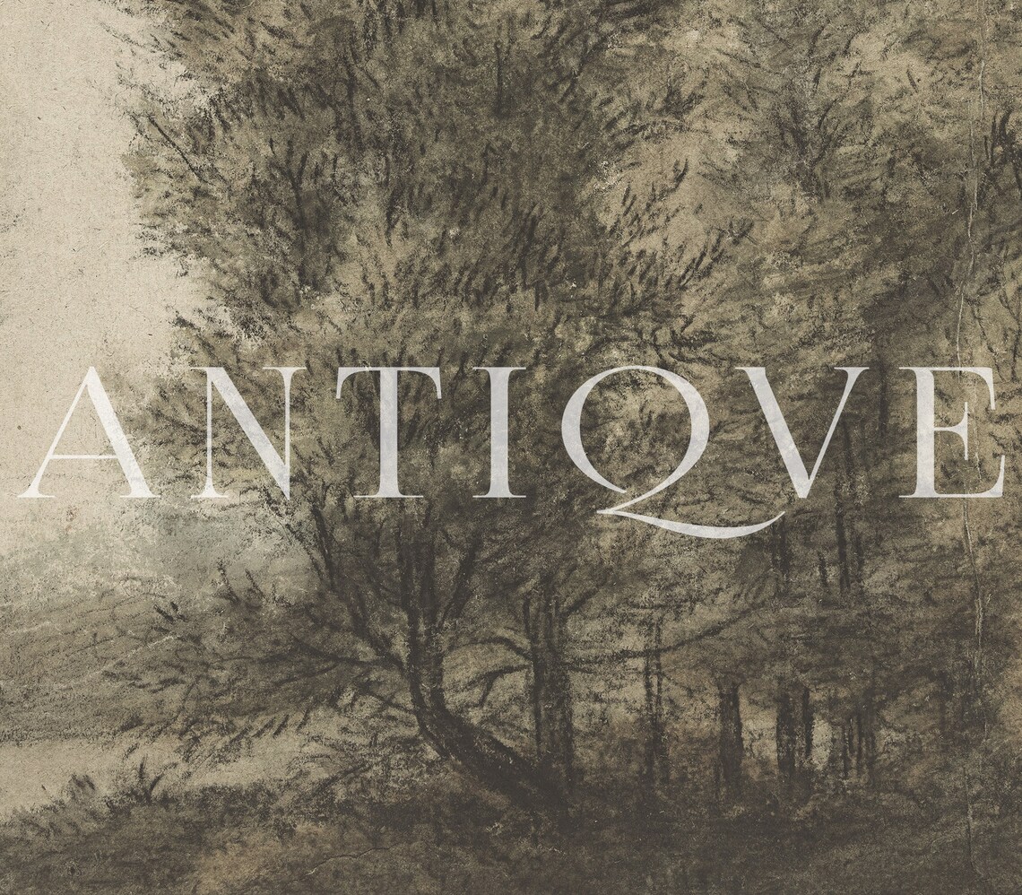 Vintage Trees Sketch Poster, Nature Wall Art - Image 3
