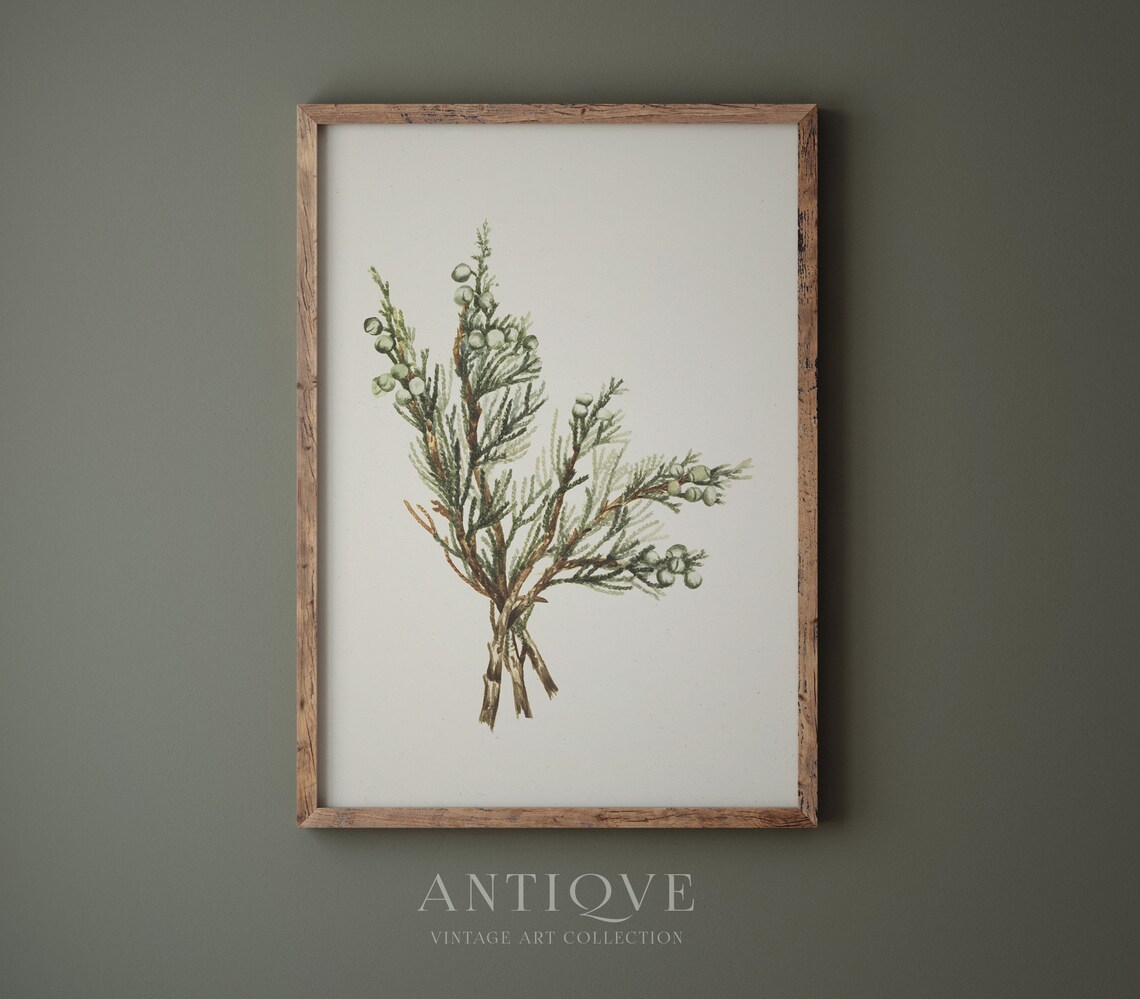 Vintage Botanical Sketch, Winter Branch Rustic Decor - Image 3