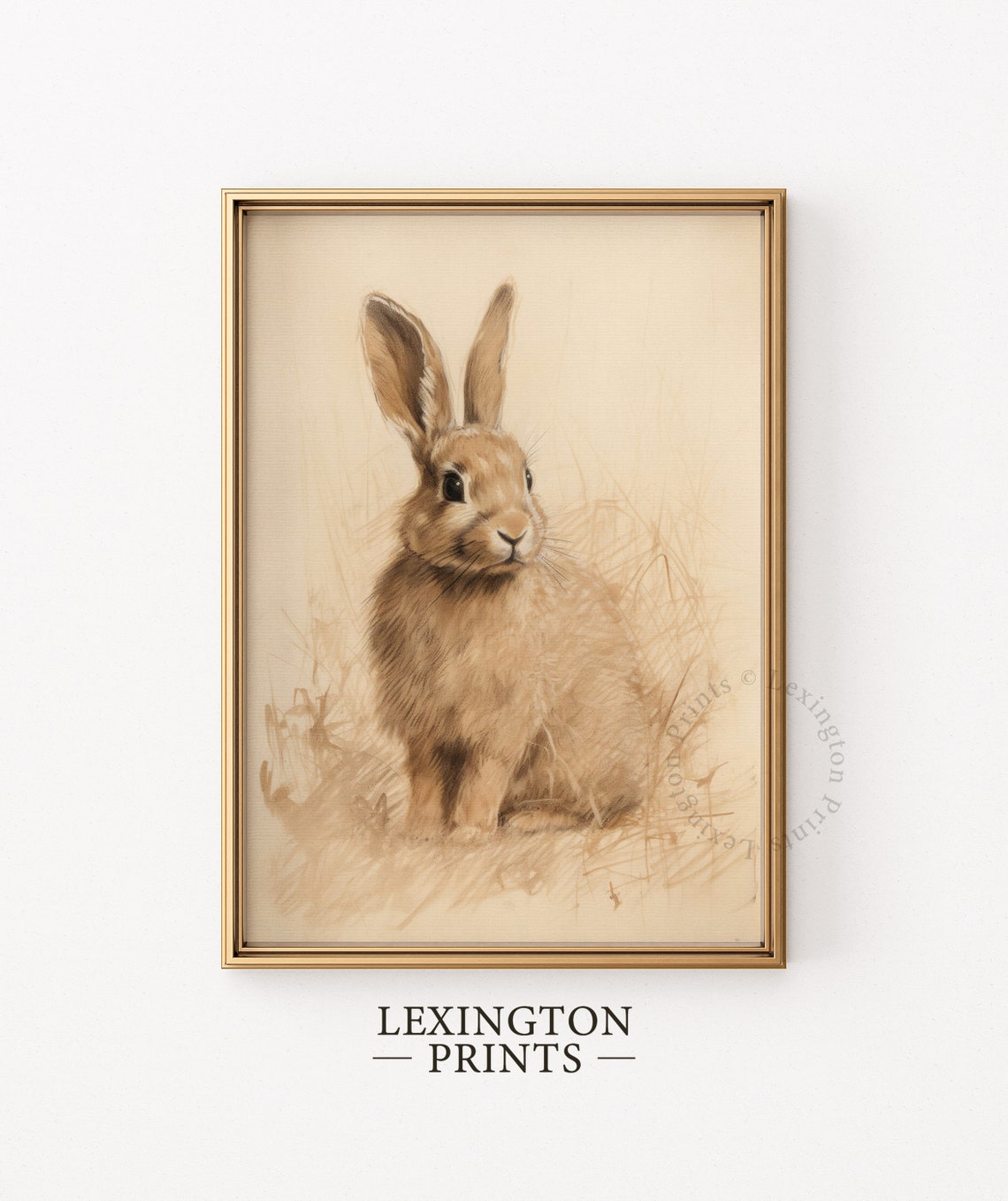 Brown Rabbit Meadow Sketch Vintage Wildlife Drawing Style Poster - Image 6