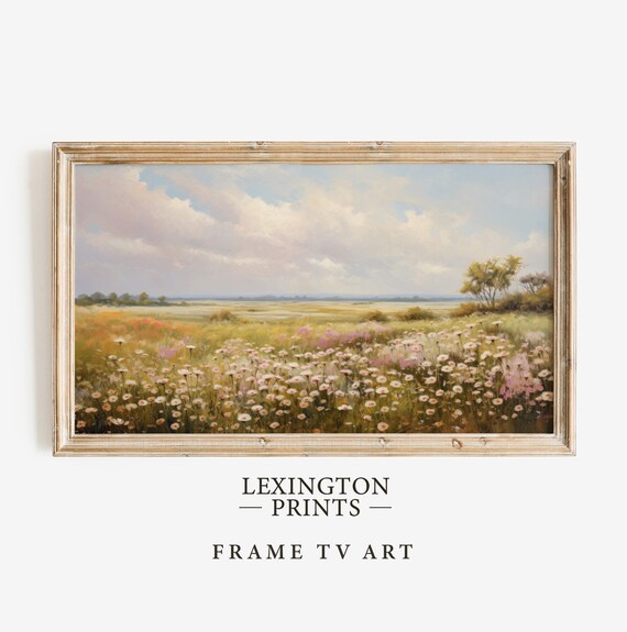 Wildflower Prairie Meadow Under Cloudy Sky Frame TV Style Poster
