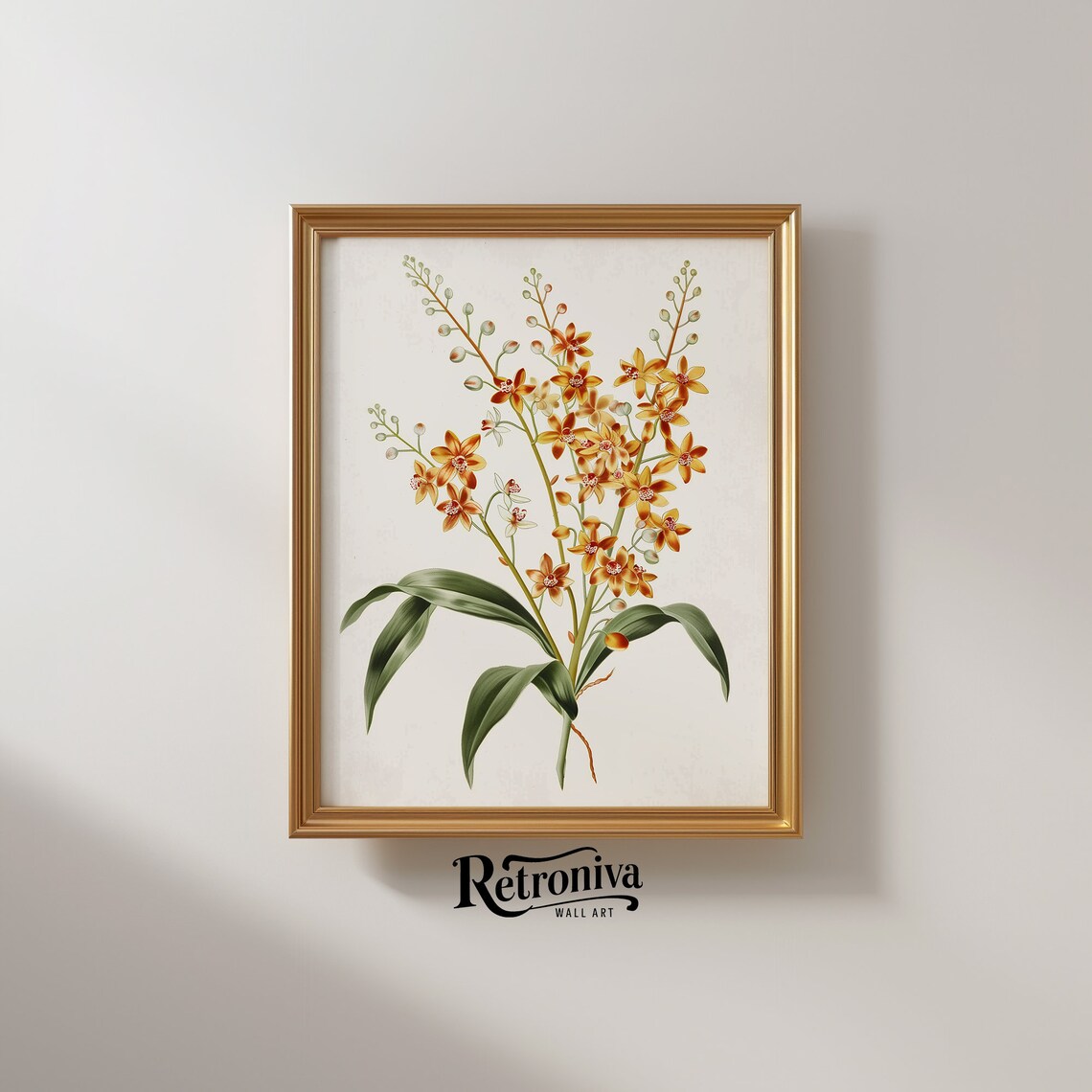 Vintage Orchid Flower Art Print, Minimalist Botanical - Image 2