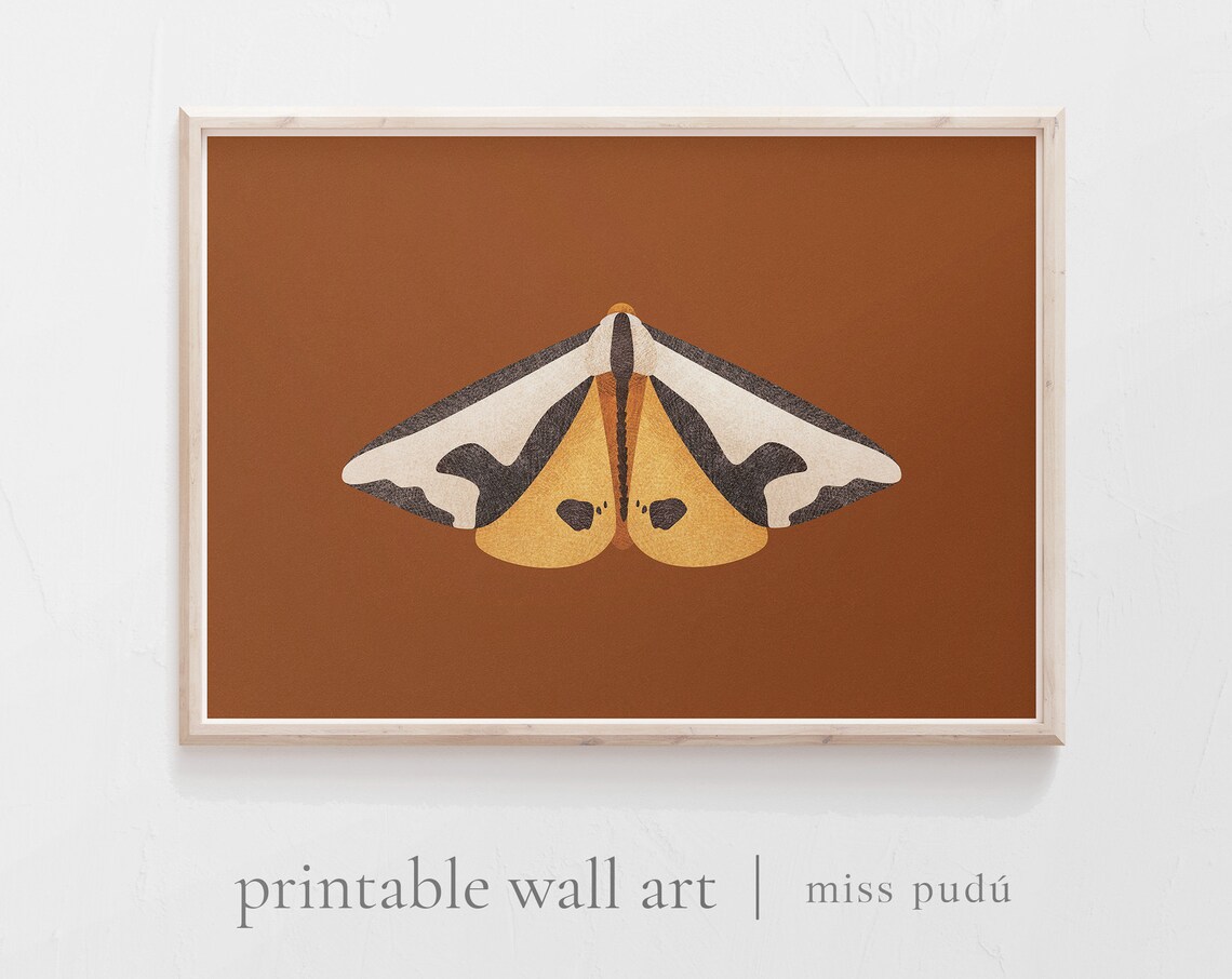 Moth Illustration Art Print, Modern Wildlife Decor