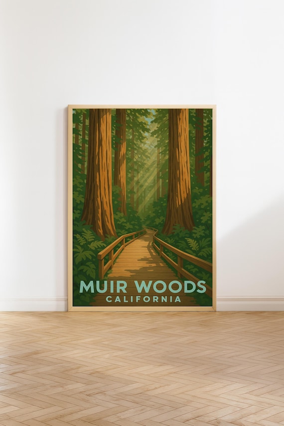 Muir Woods California Redwood Forest Boardwalk Travel Poster
