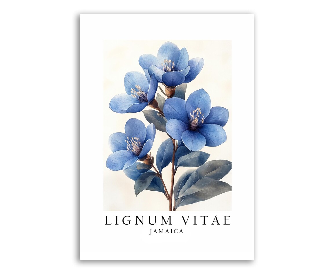 Lignum Vitae Jamaica National Flower Art Print