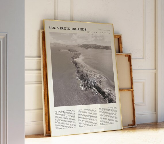 U.S. Virgin Islands Aerial Coastline Black and White Travel Poster