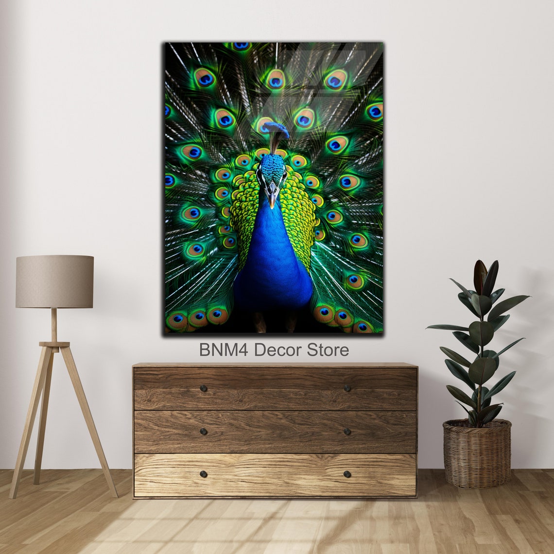Peacock with Fanned Iridescent Tail Plumage Front Facing View Poster