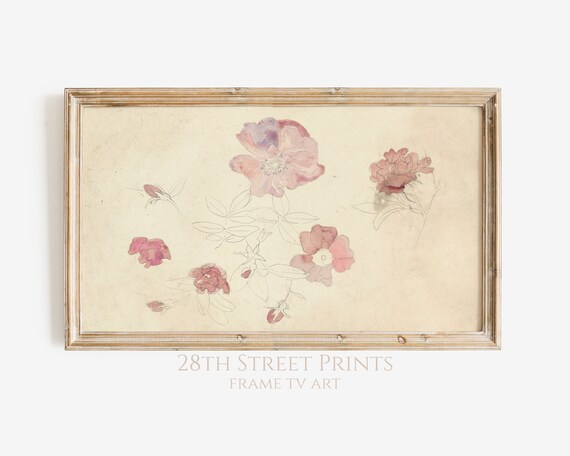 Vintage Pink Peony Watercolor Sketch Botanical Floral Study Wall Art Poster