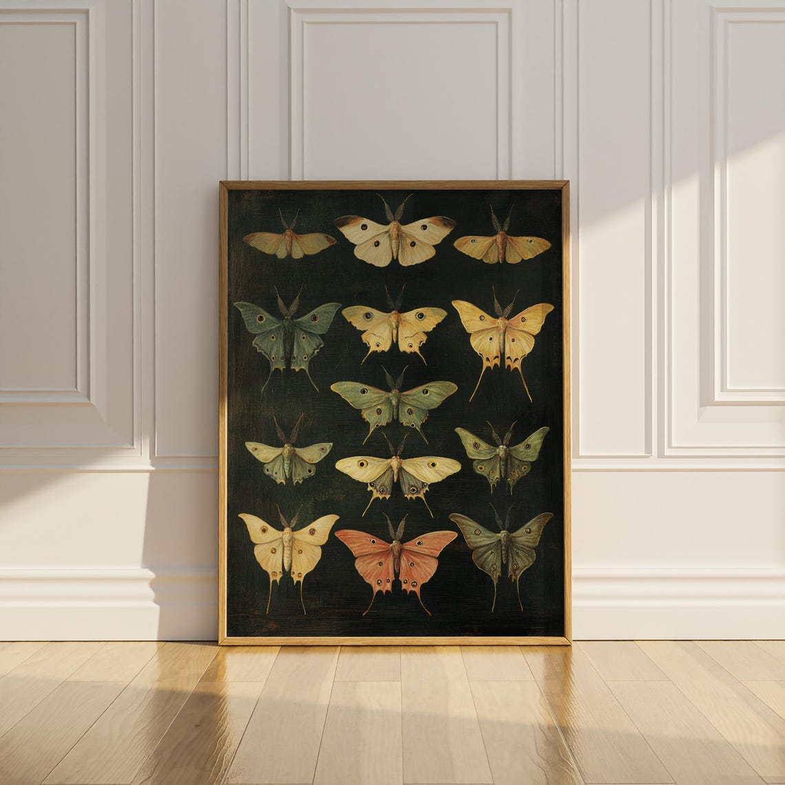 Twelve Moth Specimens on Dark Background Vintage Entomology Poster - Image 2