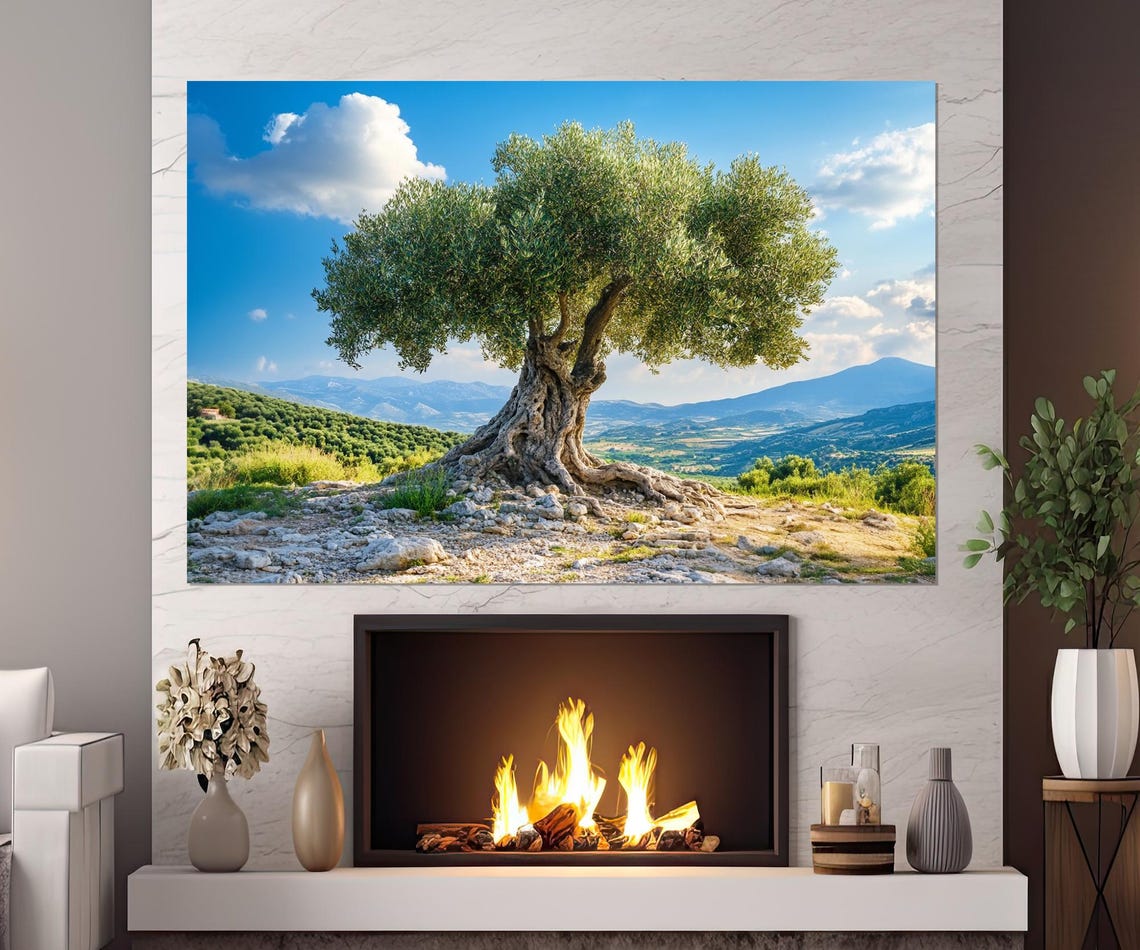 Ancient Olive Tree On Rocky Hillside With Green Valley View Poster - Image 2