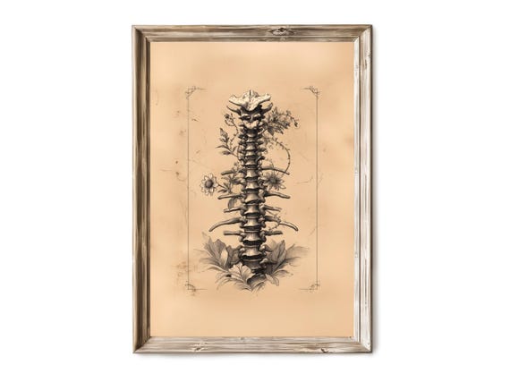 Halloween Wall Art Scientific Spine Anatomy With Mushrooms Vintage Gothic Illustration Haunted Decor Print 295