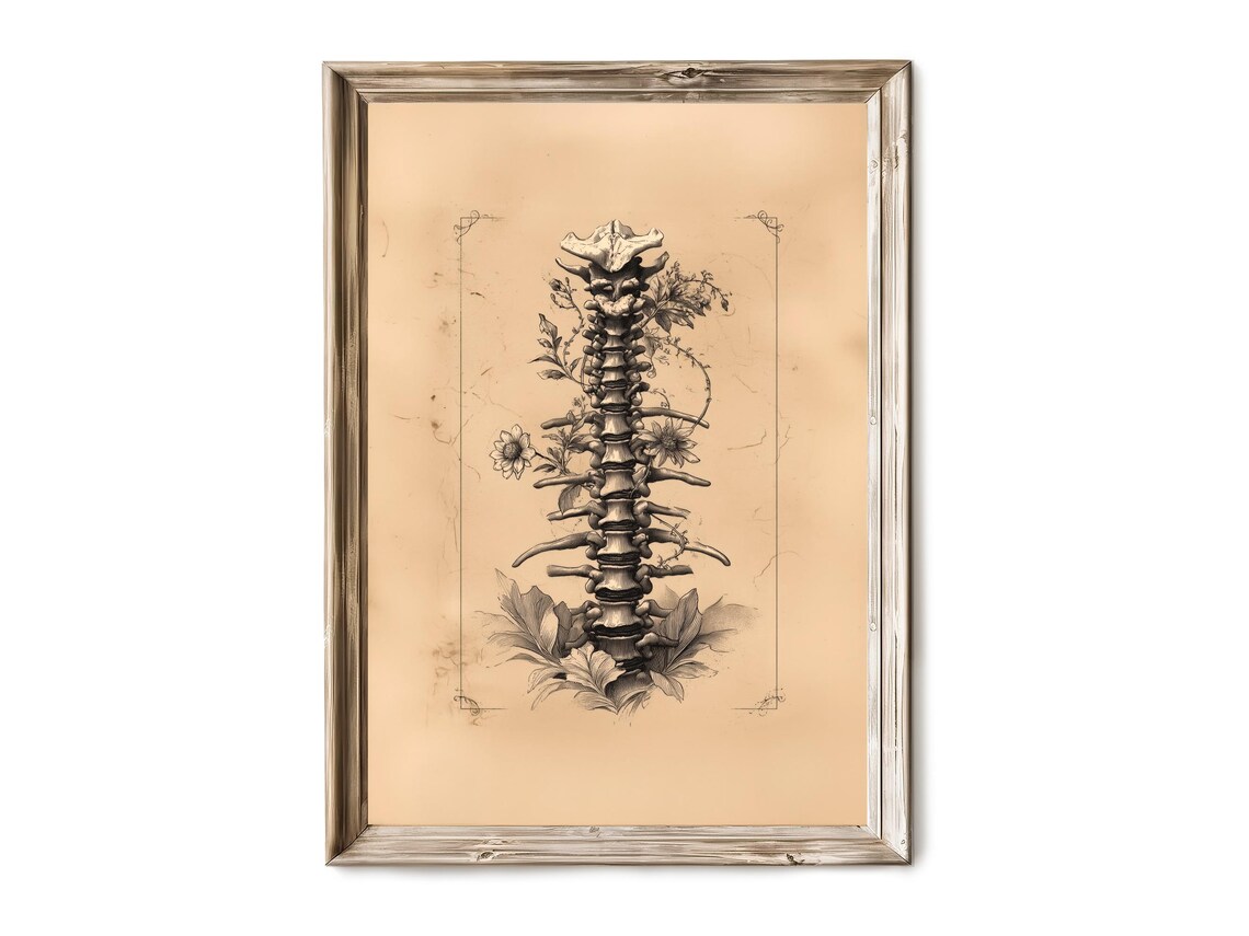 Vintage Spine Anatomy Chart With Mushrooms Scientific Halloween Poster