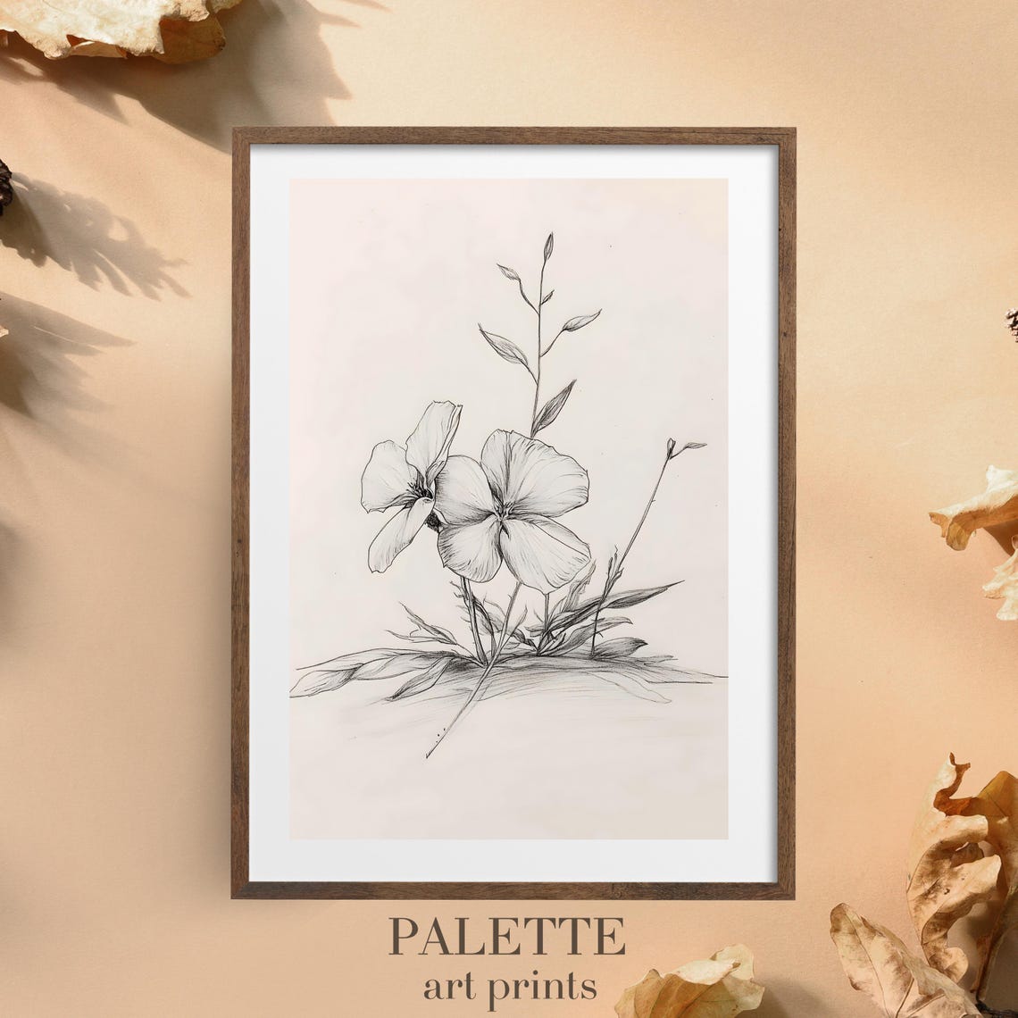 Delicate Single Wildflower Bloom Botanical Pencil Drawing Wall Art - Image 3