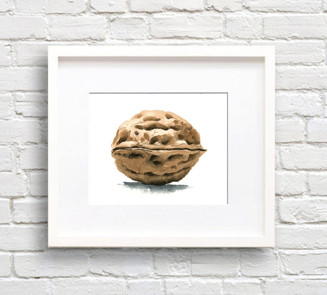 Walnut Watercolor Art Print, Kitchen Wall Decor