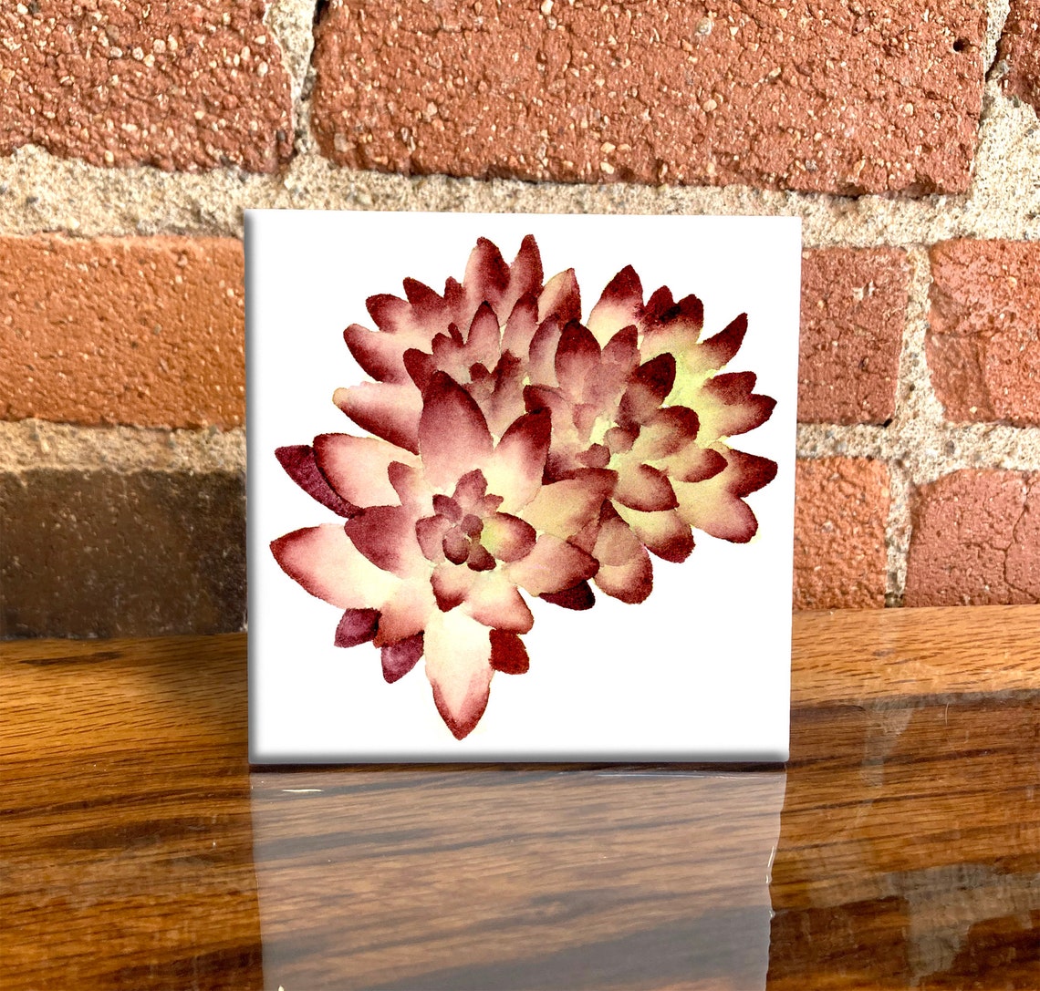 Burgundy Succulent Cluster Watercolor Botanical Ceramic Tile Wall Art