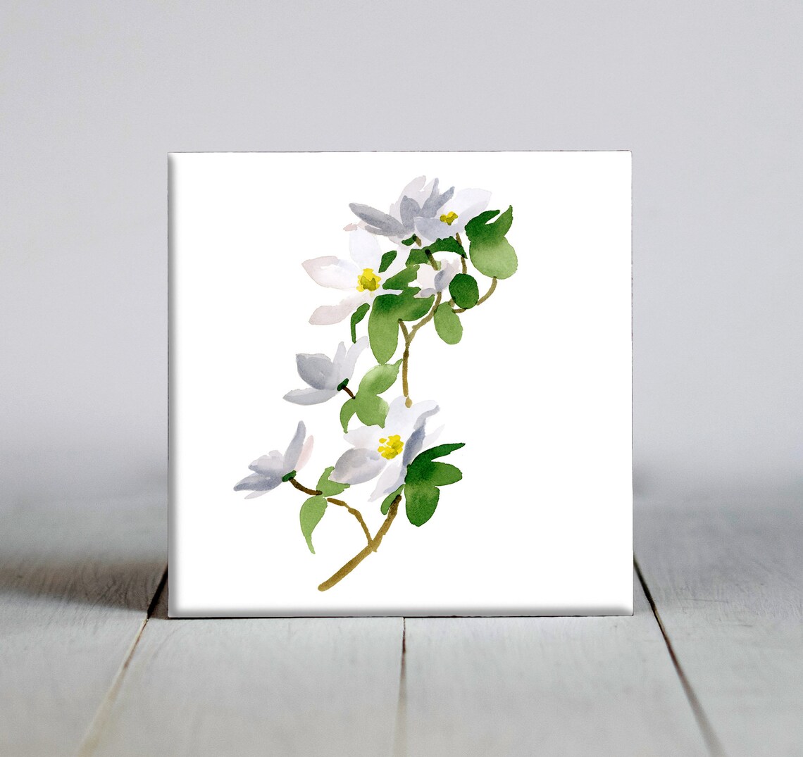 Dogwood Flowers Botanical Art Print, Nature Gift