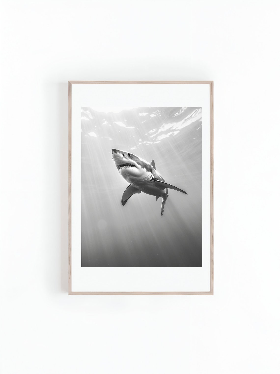 Shark Black-and-White Photograph, Marine Art Print