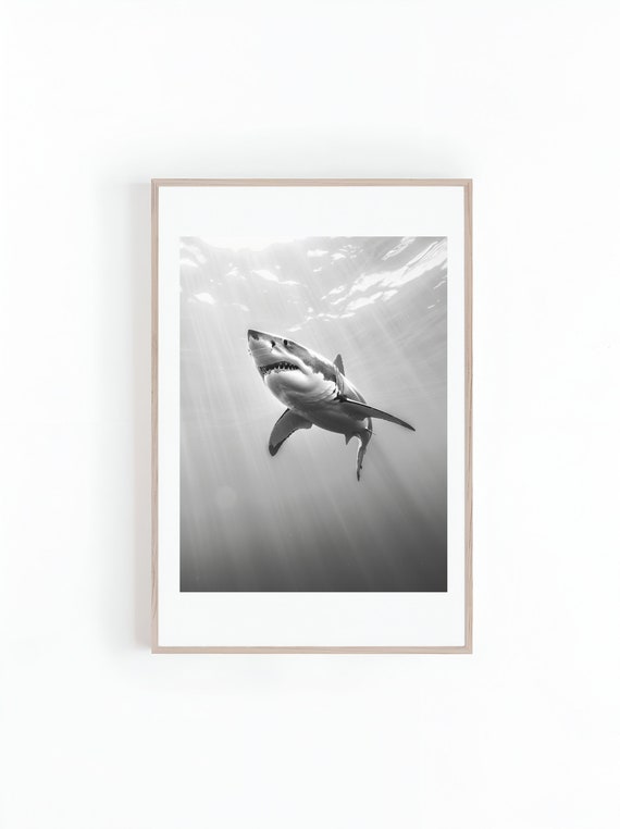 Shark Black-and-White Photograph, Marine Art Print