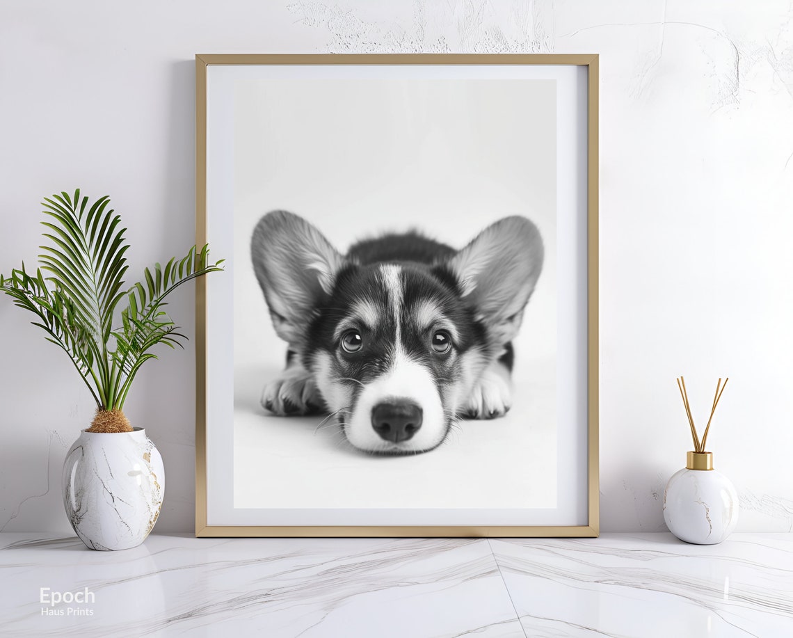 Corgi Photo Prints Black And White Photo Of Corgi Puppy Photo Of Puppies Dog Lover Gifts Instant Print