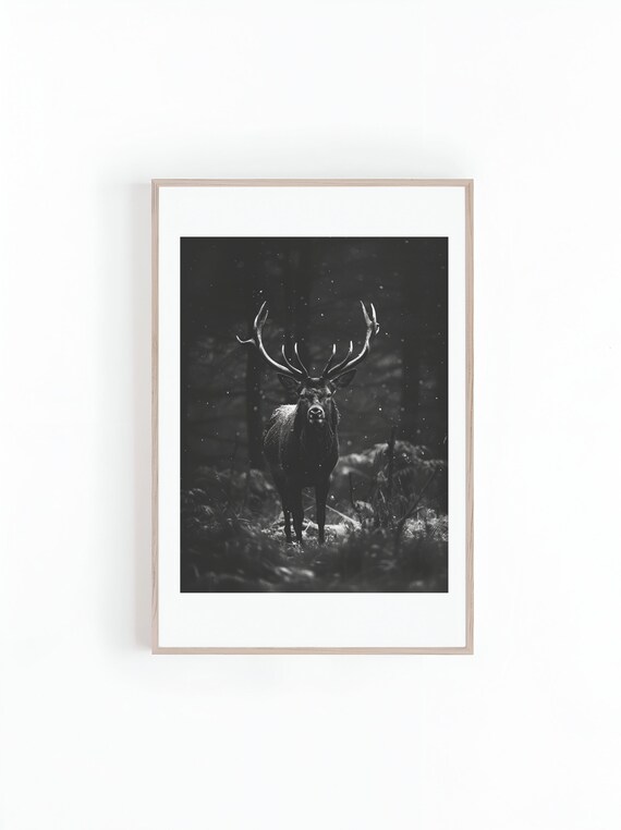 Majestic Stag Standing In Dark Snowy Pine Forest Photo Poster