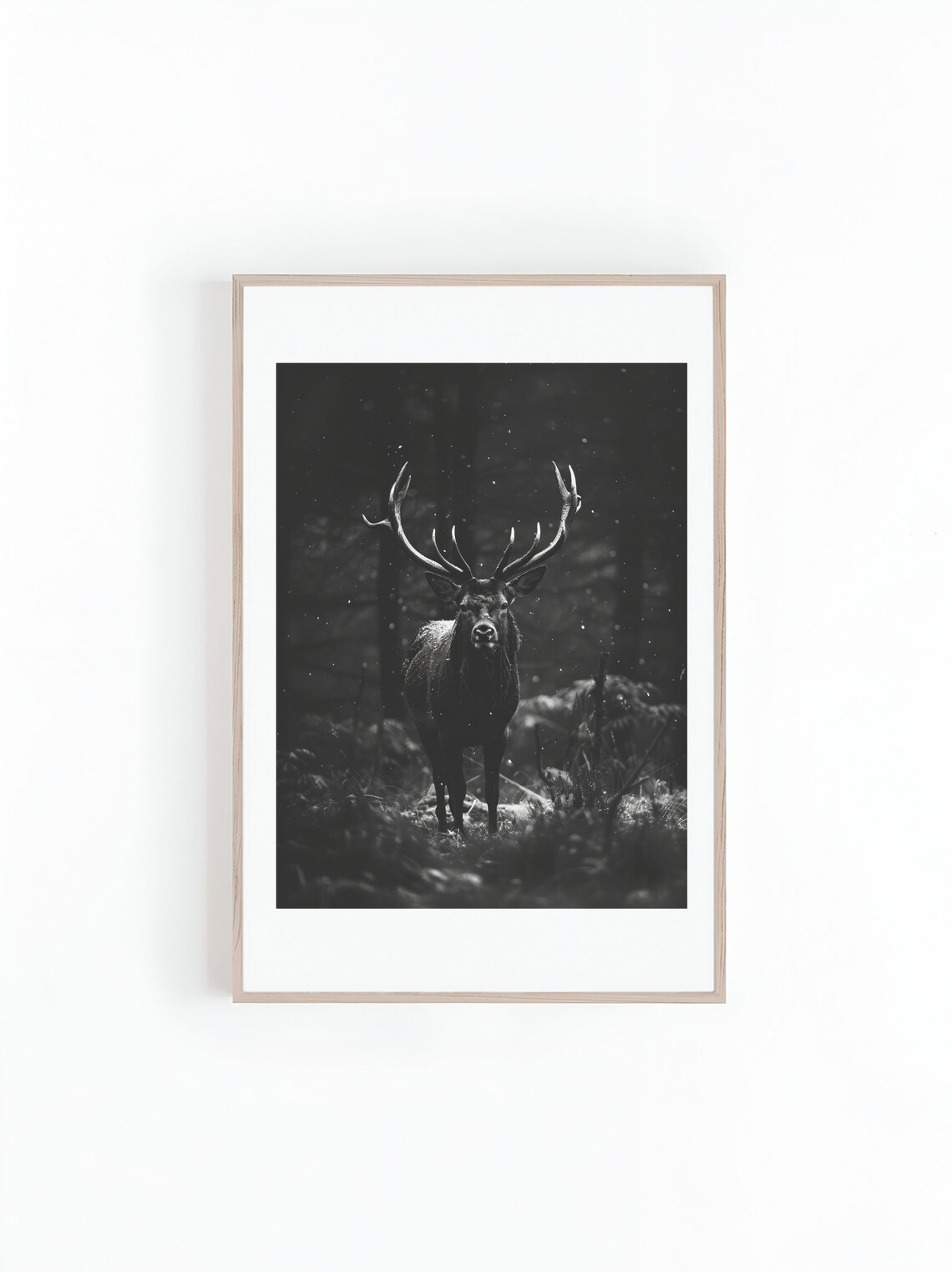 Majestic Stag Standing In Dark Snowy Pine Forest Photo Poster