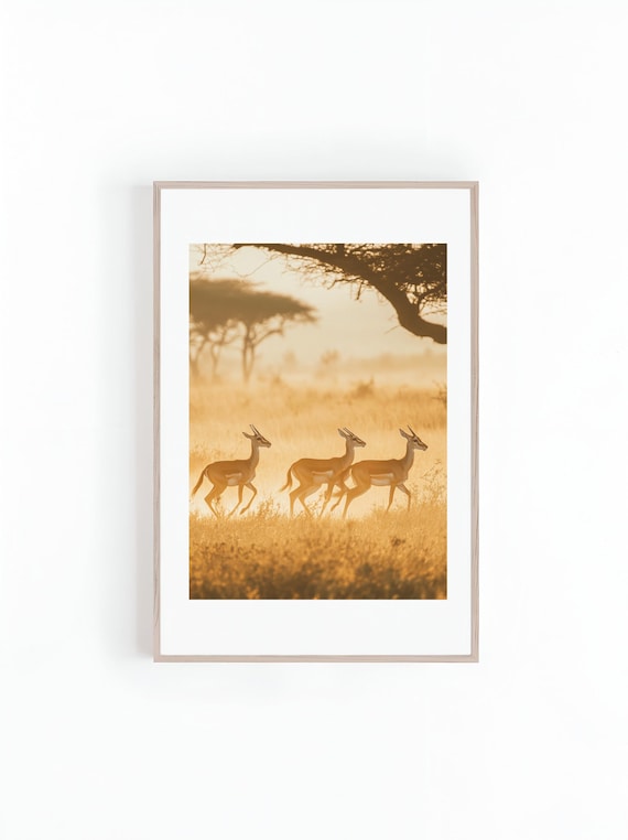 Three Gazelles Running Across A Golden Sunrise Savanna Print
