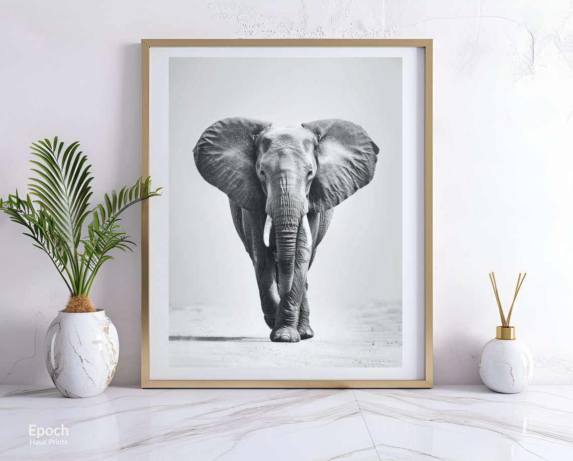 African Elephant Black And White Safari Art Print